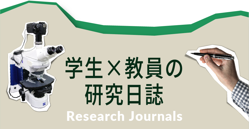 学生X教員の研究日誌